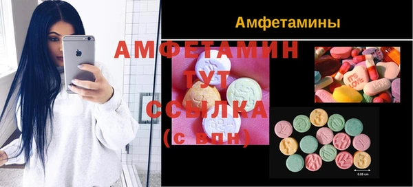 шишки Алексин