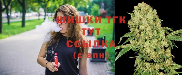 шишки Алексин