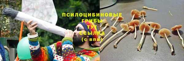 шишки Алексин