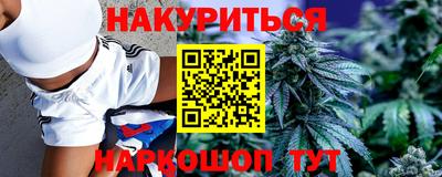 гидра Пенза