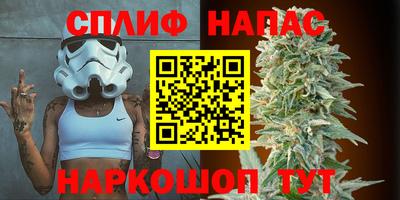 гидра Пенза