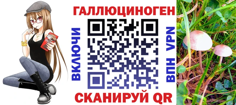 хочу наркоту  Биробиджан  Псилоцибиновые грибы ЛСД 