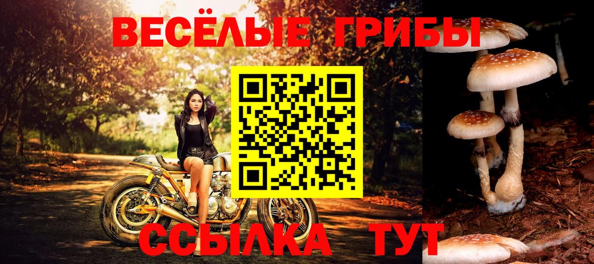 Биробиджан  Галлюциногенные грибы Magic Shrooms  Вход с VPN  Псилоцибиновые грибы мухоморы 