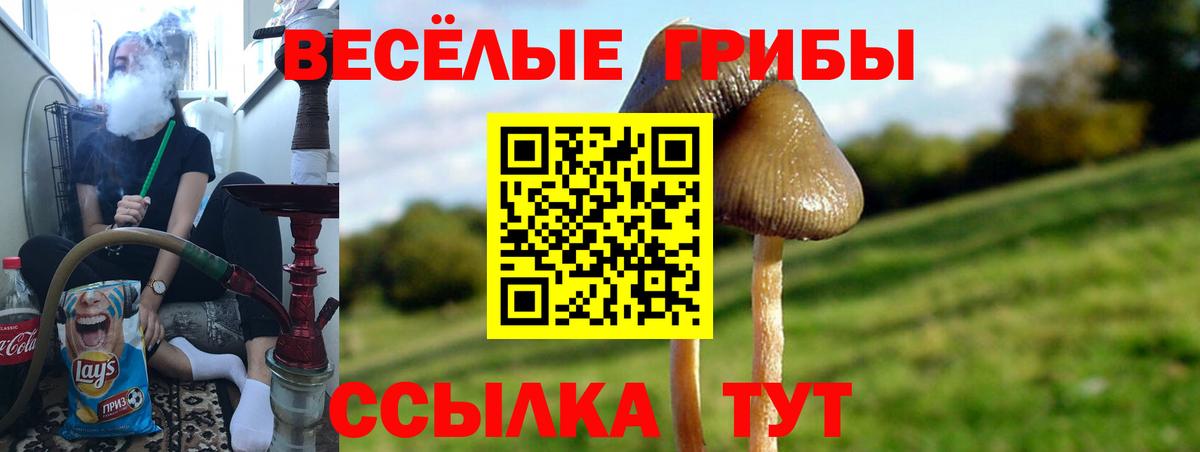 Галлюциногенные грибы Magic Shrooms Биробиджан